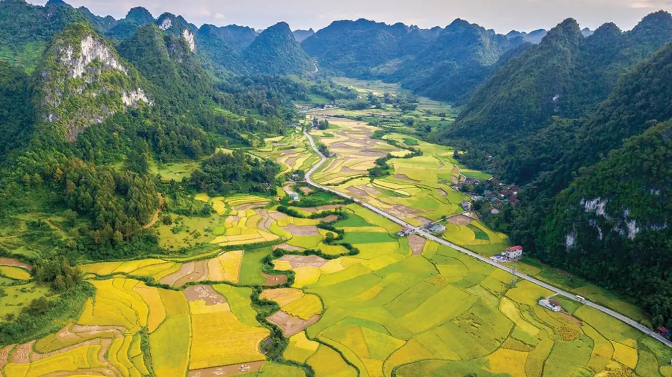 Cao bằng